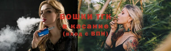 сатива Алзамай