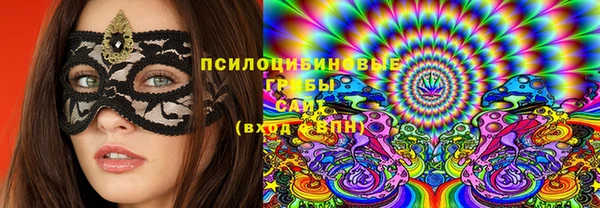 сатива Алзамай