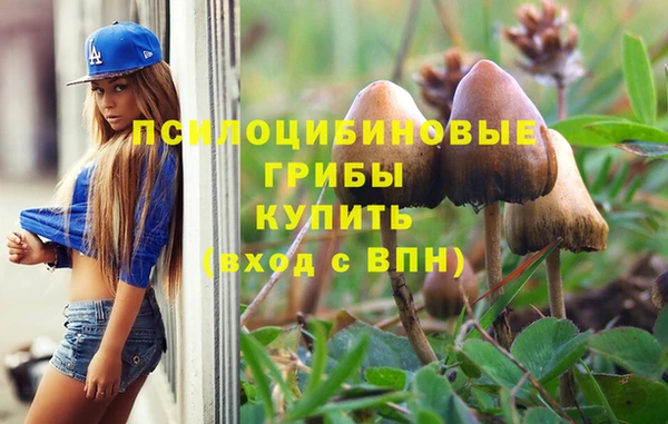 скорость Алексин